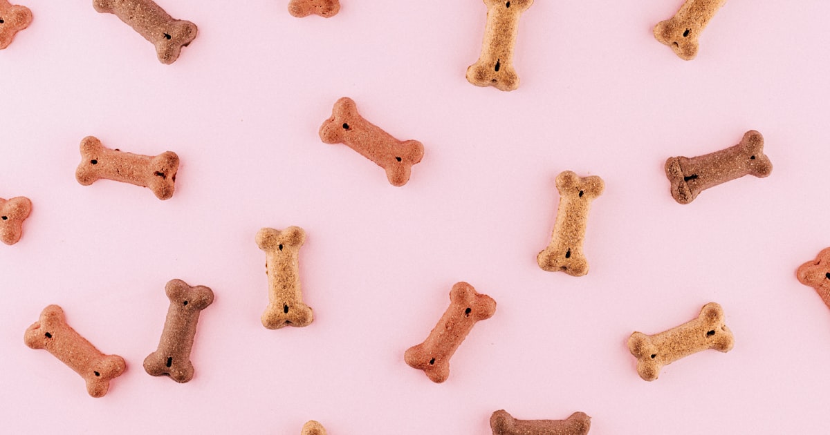 Melhores Brinquedos para Cachorro: Tipos e Recomendações